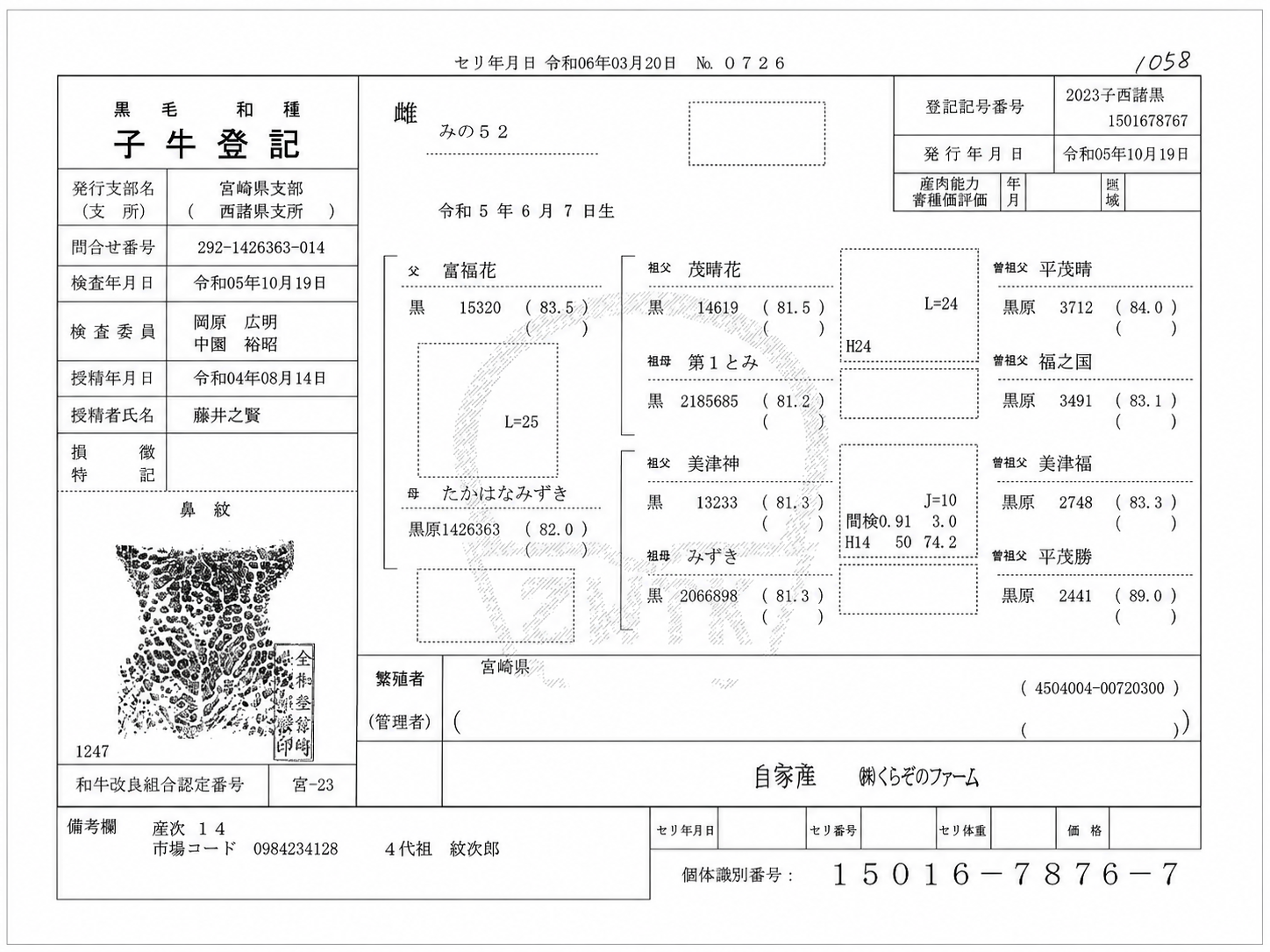 黒毛和種 子牛登記 — 血統書